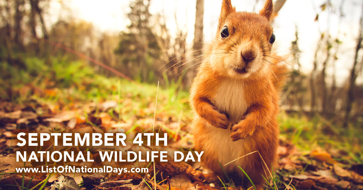 Title image for National Wildlife Day