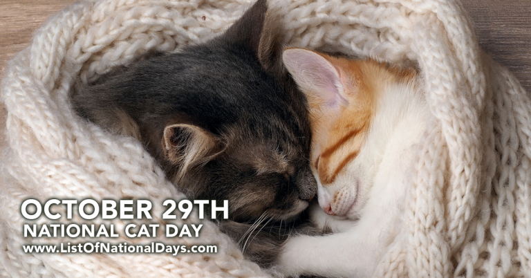 Title image for National Cat Day