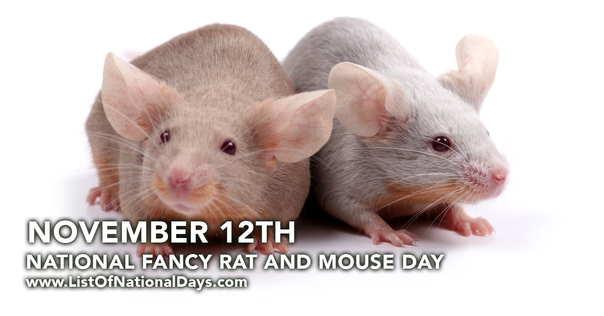 Title image for National Fancy Rat & Mouse Day