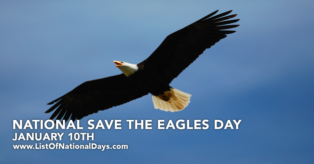 Title image for National Save The Eagles Day
