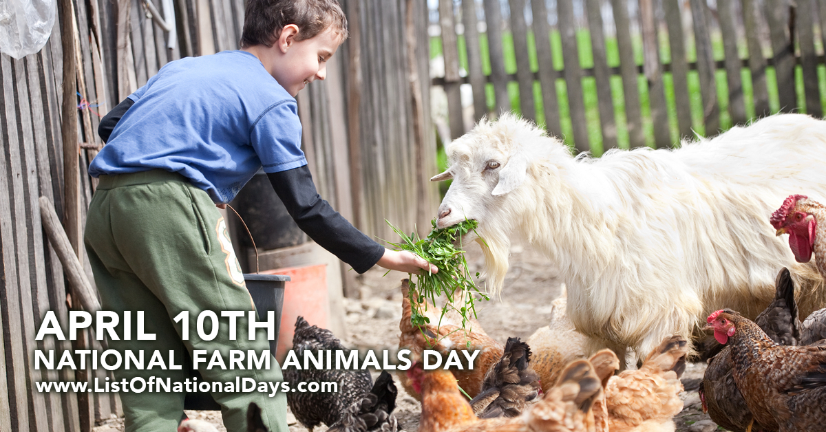 Title image for National Farm Animals Day