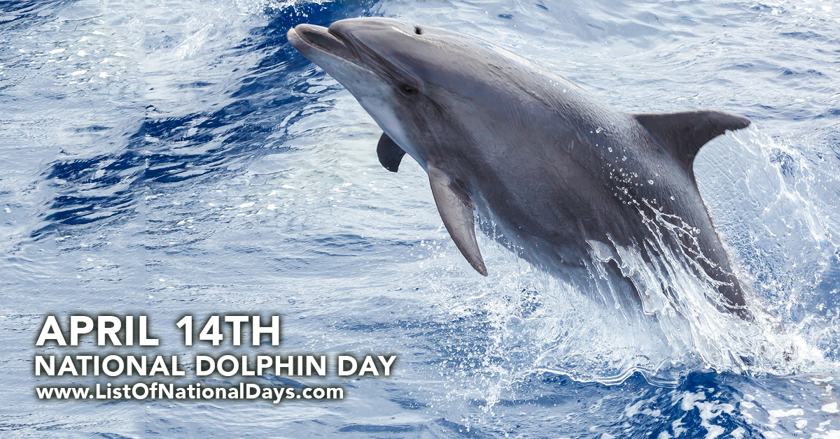 Title image for National Dolphin Day