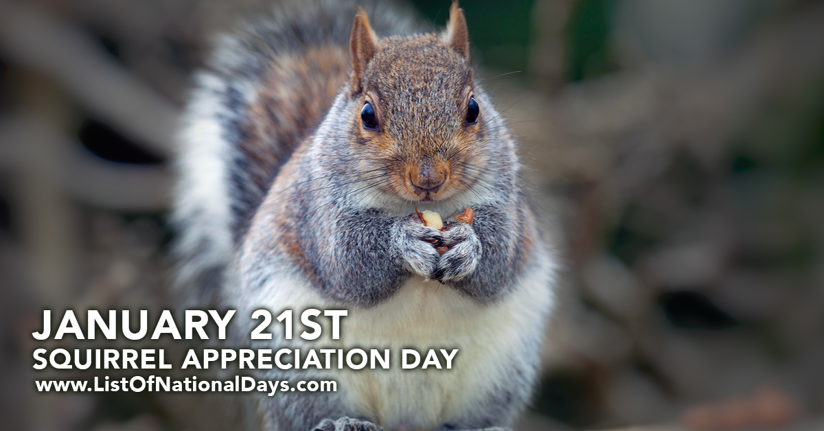 Title image for Squirrel Appreciation Day