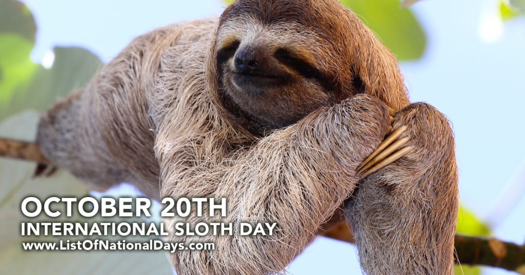 October 20th International Sloth Day List Of National Days