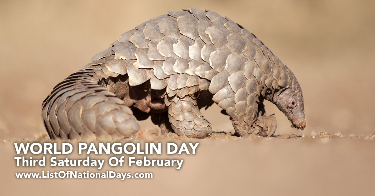Title image for World Pangolin Day