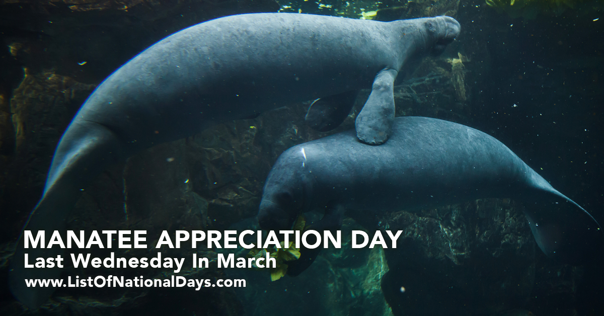 Title image for Manatee Appreciation Day