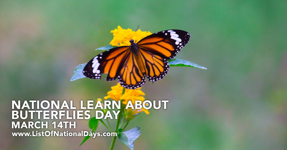 Title image for National Learn About Butterflies Day