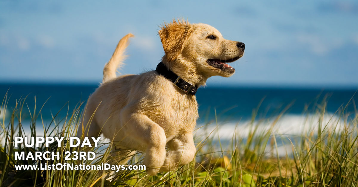 Title image for National Puppy Day