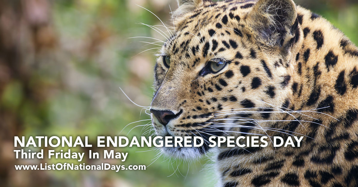 Title image for National Endangered Species Day