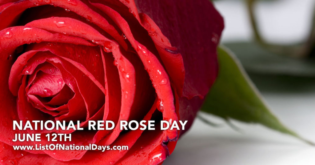 NATIONAL RED ROSE DAY List Of National Days