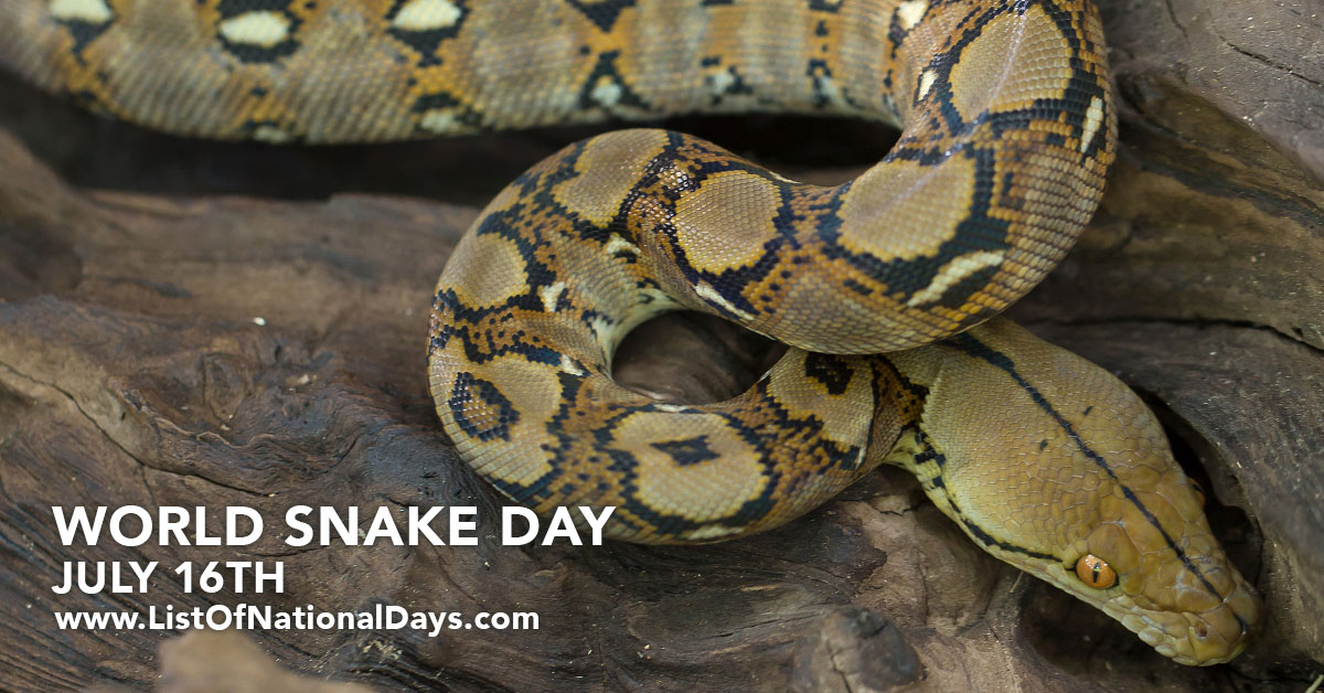 Title image for World Snake Day
