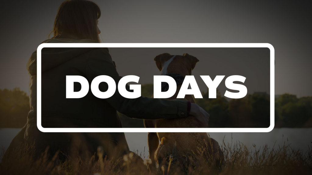 Title image for the list of Dog Days.