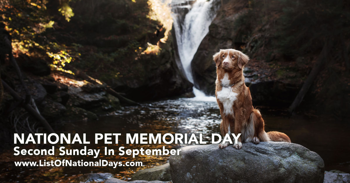 Title image for National Pet Memorial Day