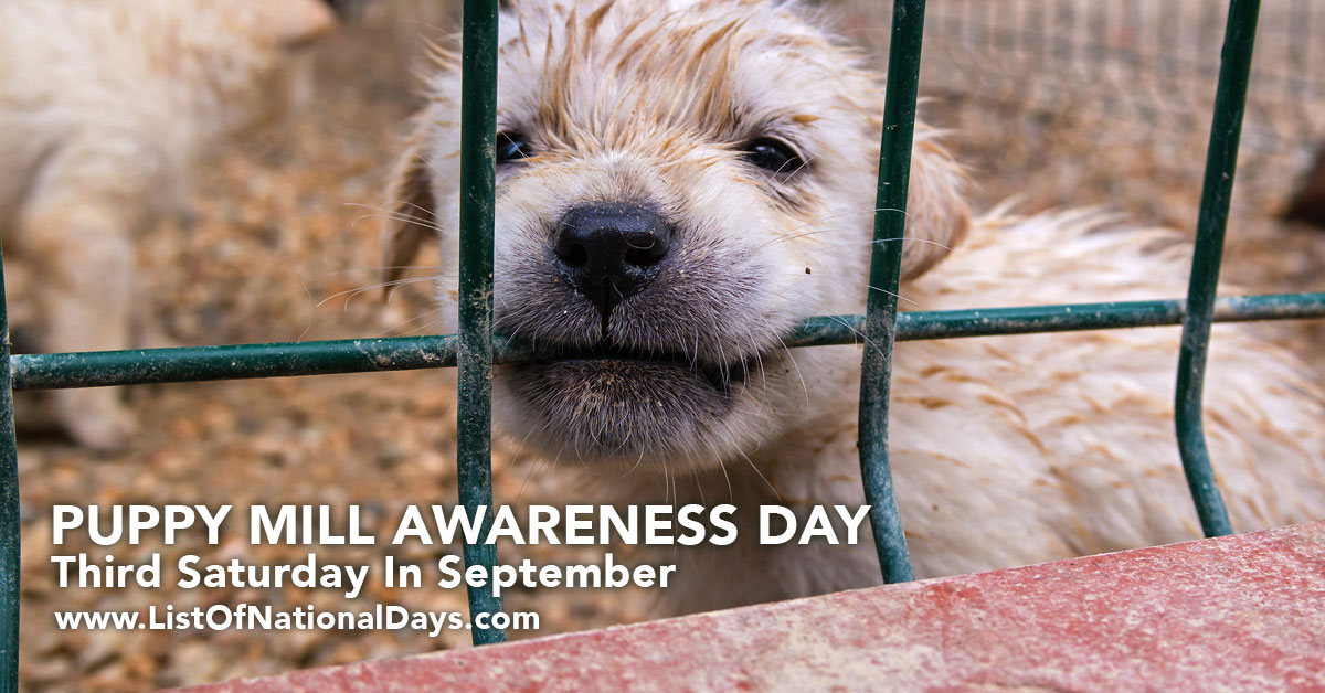 Puppy Mill Awareness Day List of National Days