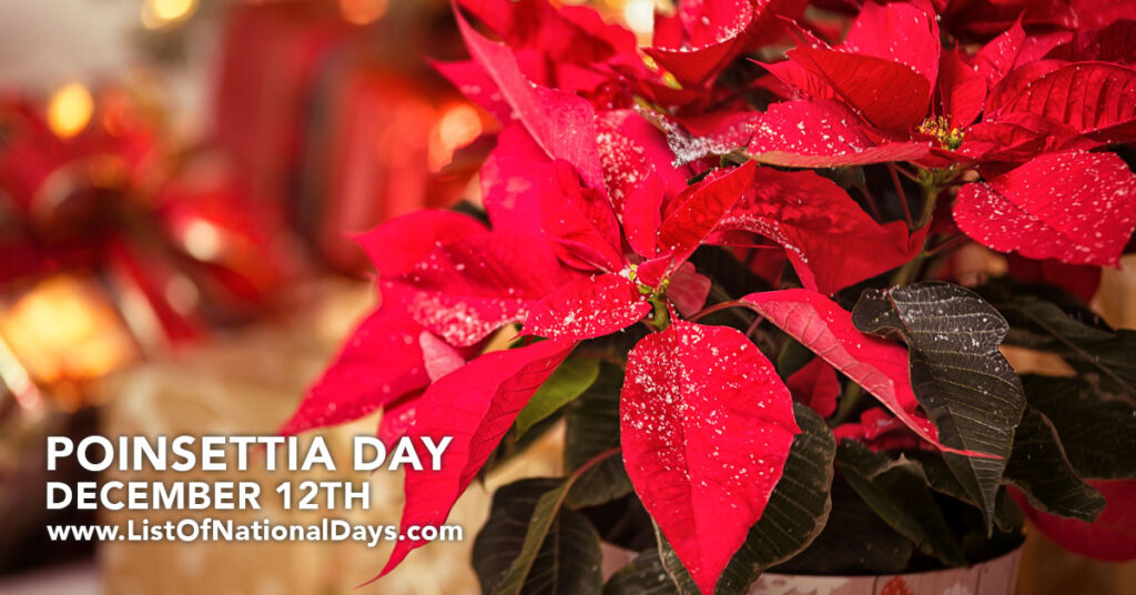 POINSETTIA DAY List Of National Days