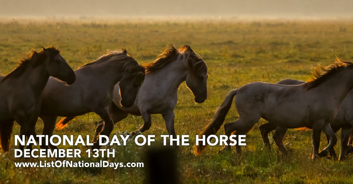 Title image for National Day Of The Horse