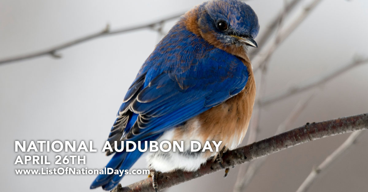Title image for National Audubon Day