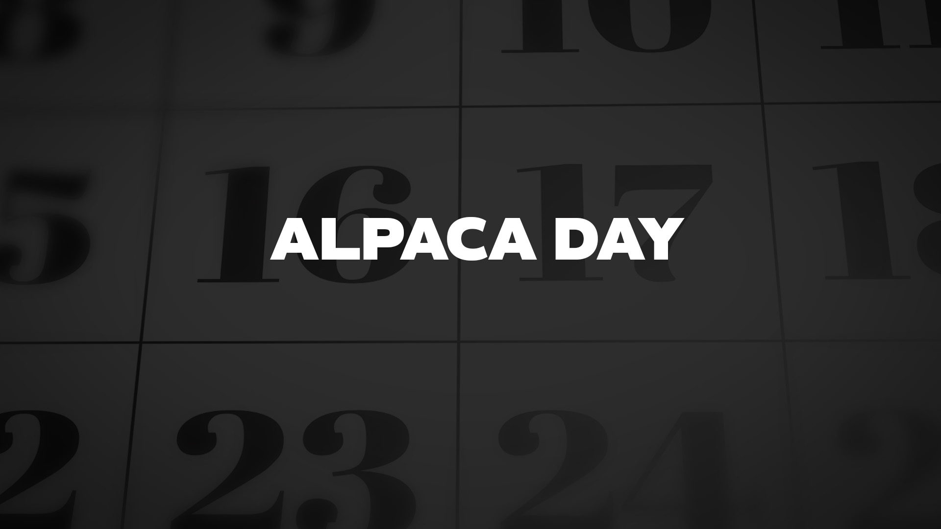 Title image for Alpaca Day