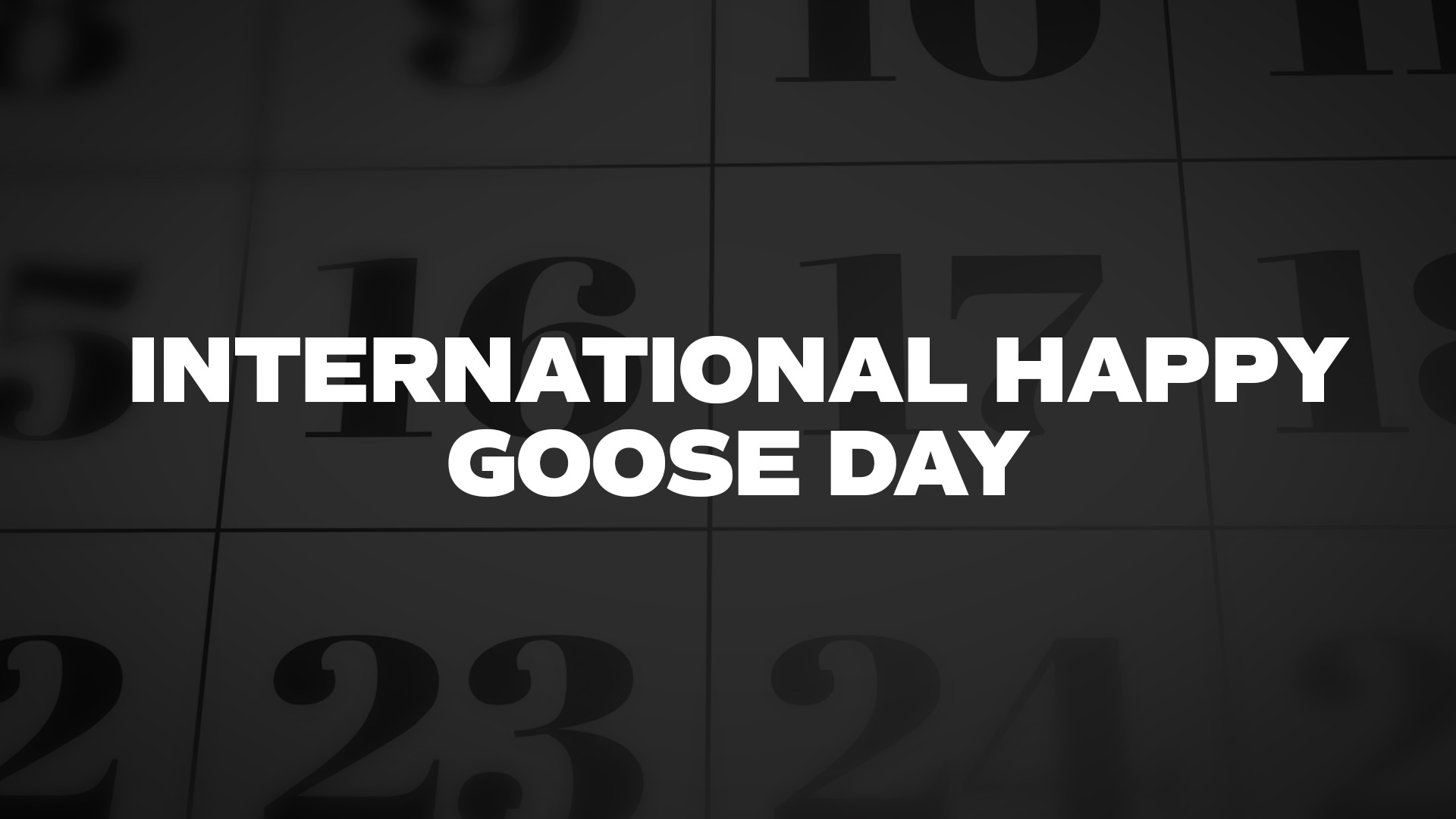 Title image for International Happy Goose Day
