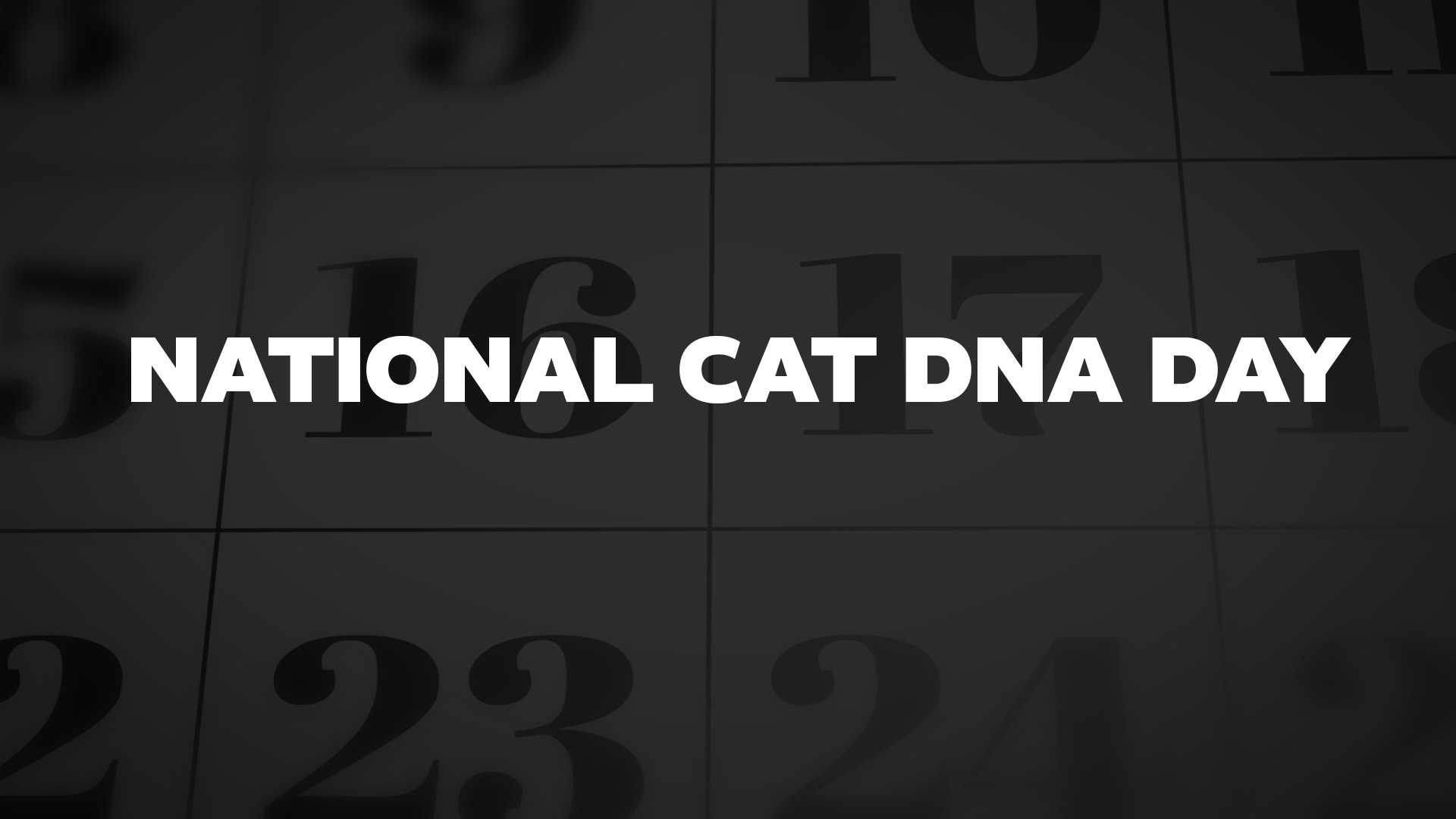 Title image for National Cat Dna Day