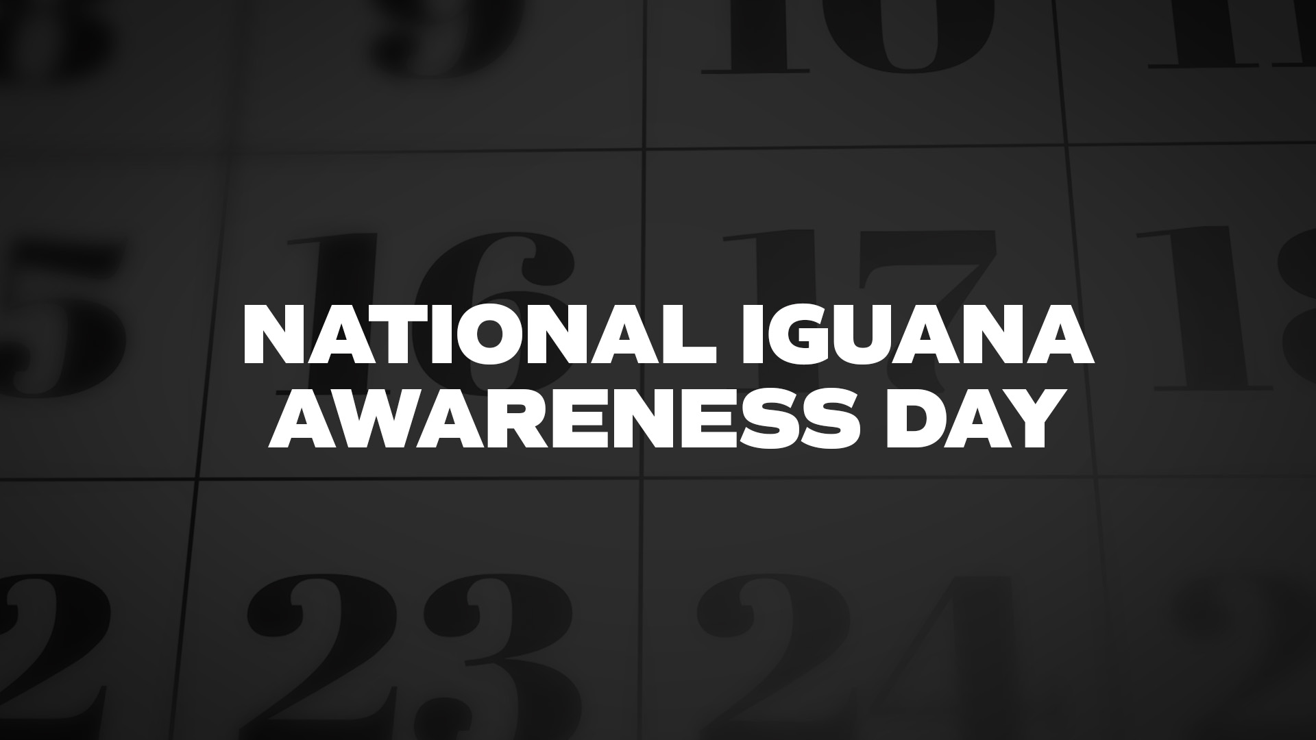 Title image for National Iguana Awareness Day