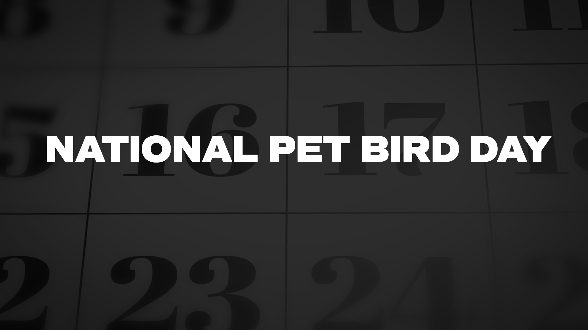 Title image for National Pet Bird Day