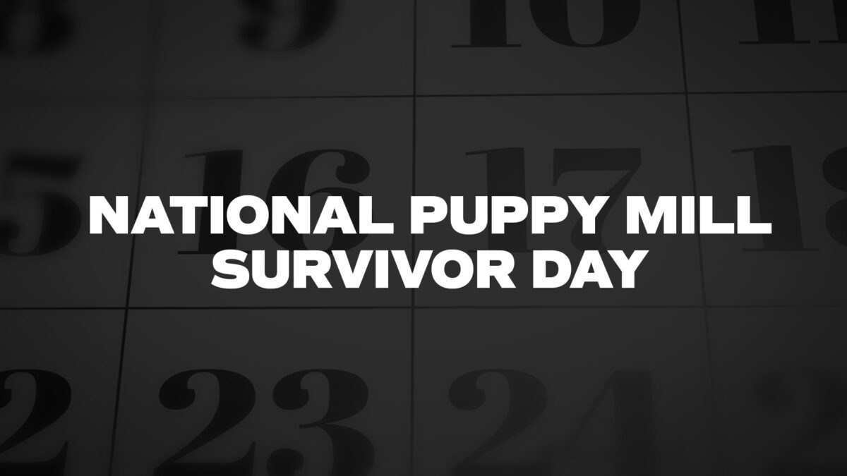 NATIONAL-PUPPY-MILL-SURVIVOR-DAY - List Of National Days