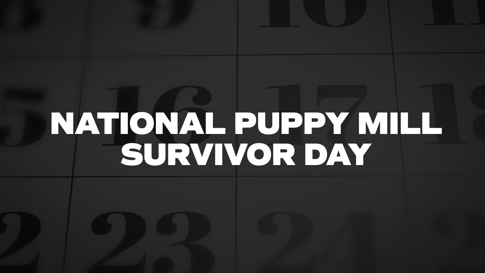 Title image for National Puppy Mill Survivor Day