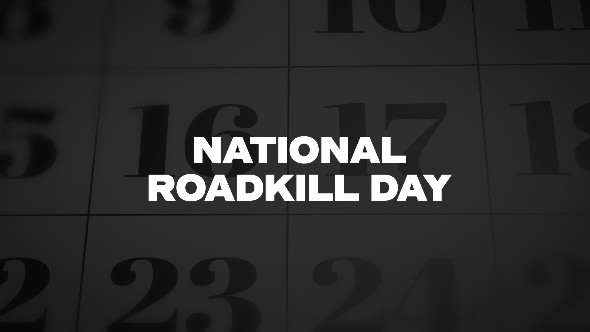 Title image for National Roadkill Day