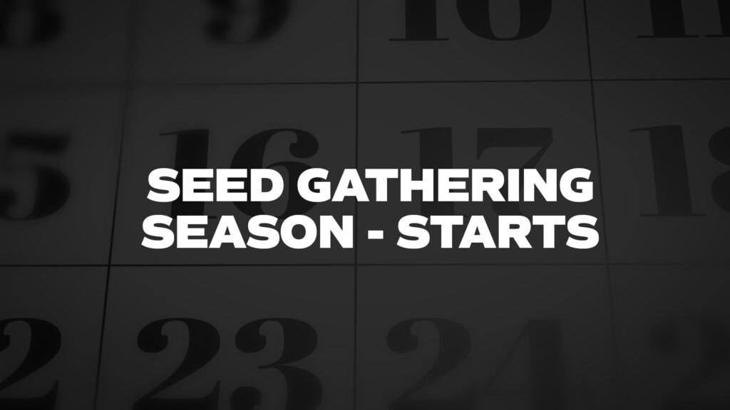 Title image for Seed Gathering Season - Starts