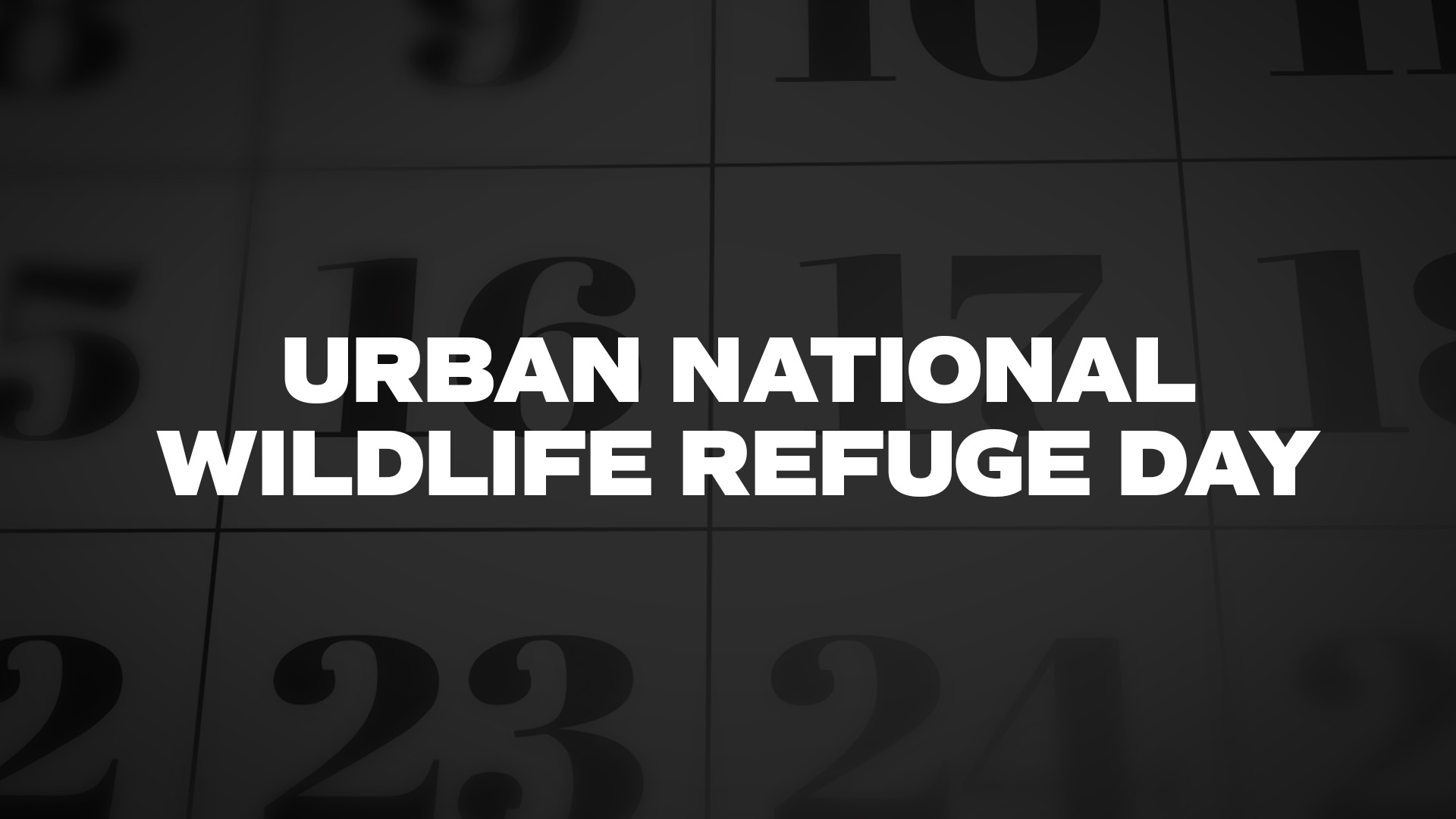 Title image for Urban National Wildlife Refuge Day
