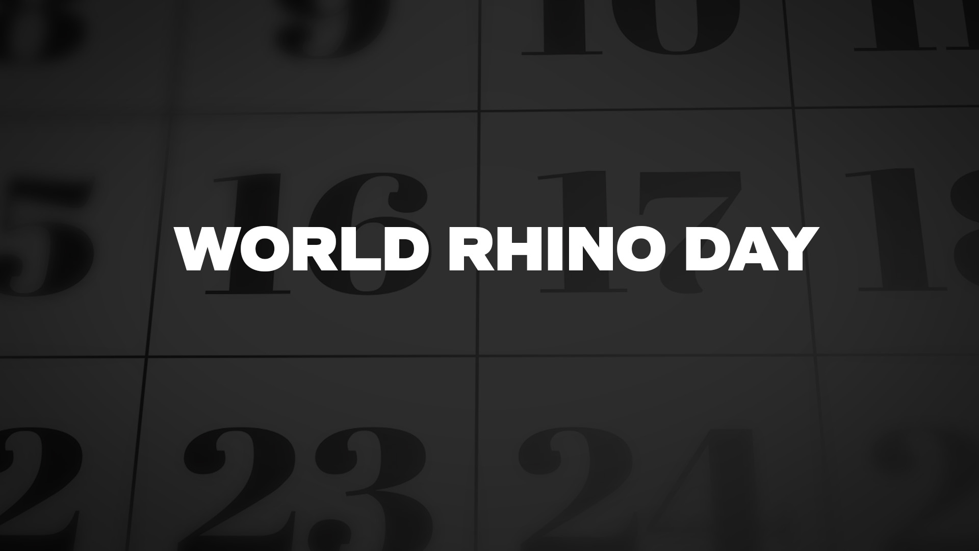 Title image for World Rhino Day