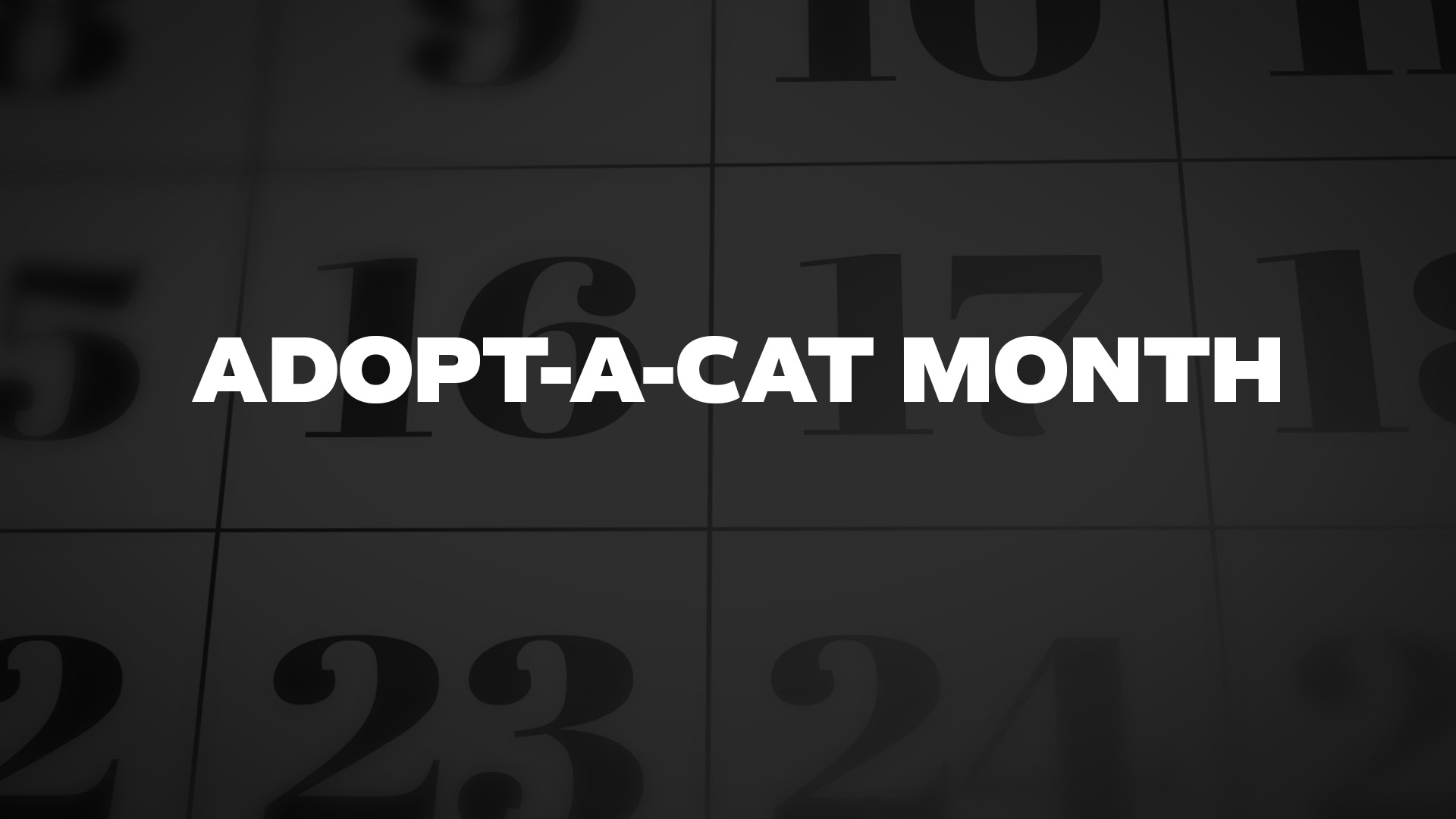 Title image for Adopt-A-Cat Month
