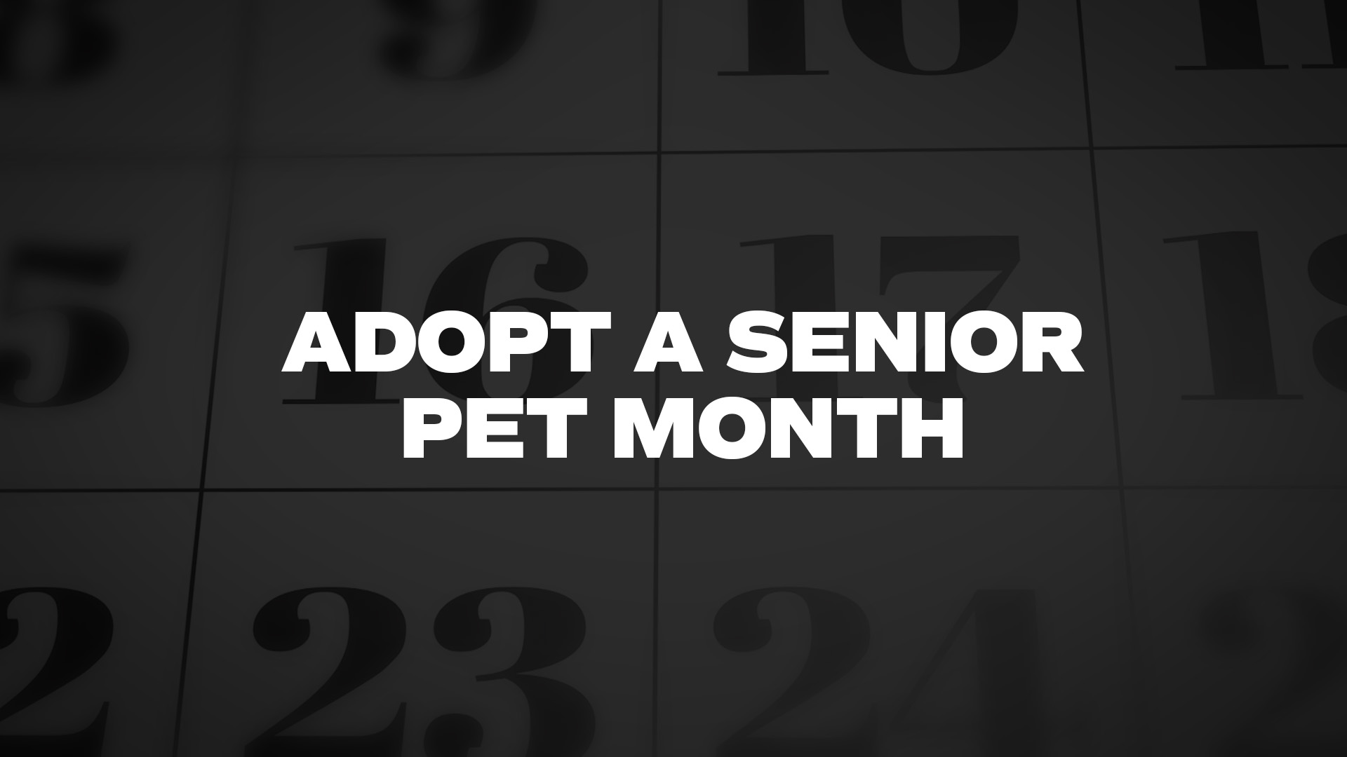 Title image for Adopt A Senior Pet Month