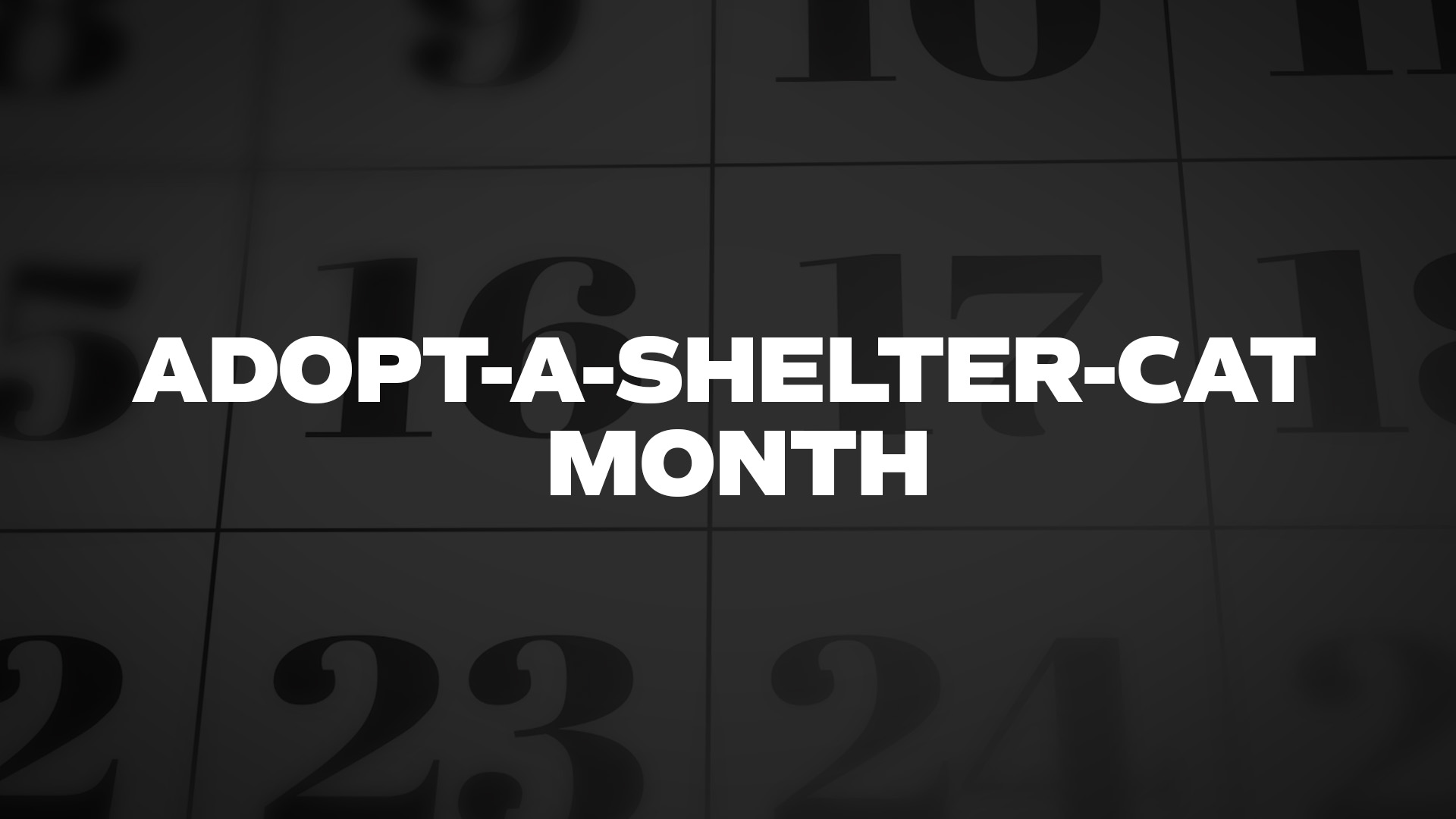 Title image for Adopt-A-Shelter-Cat Month