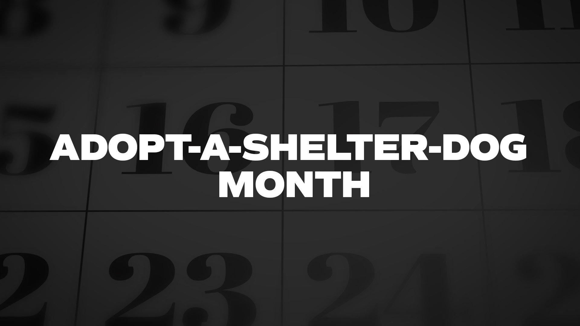 Title image for Adopt-A-Shelter-Dog Month