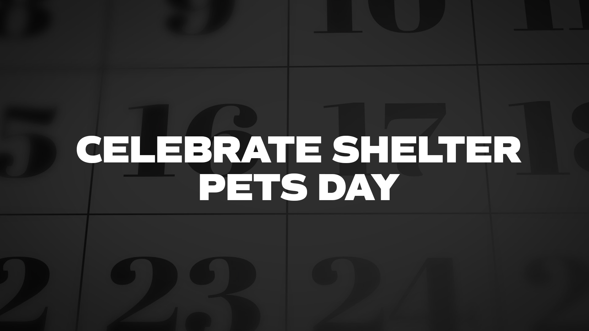 Title image for Celebrate Shelter Pets Day