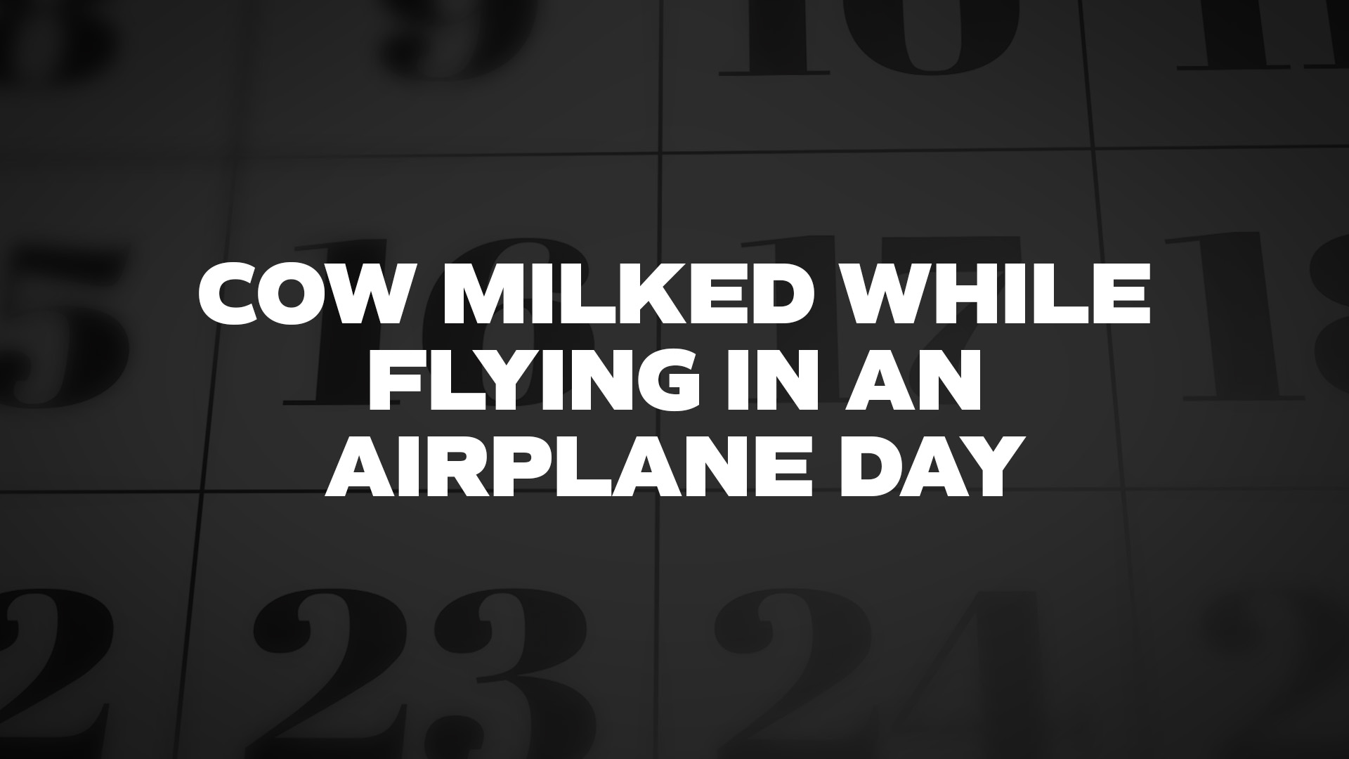 Title image for Cow Milked While Flying In An Airplane Day