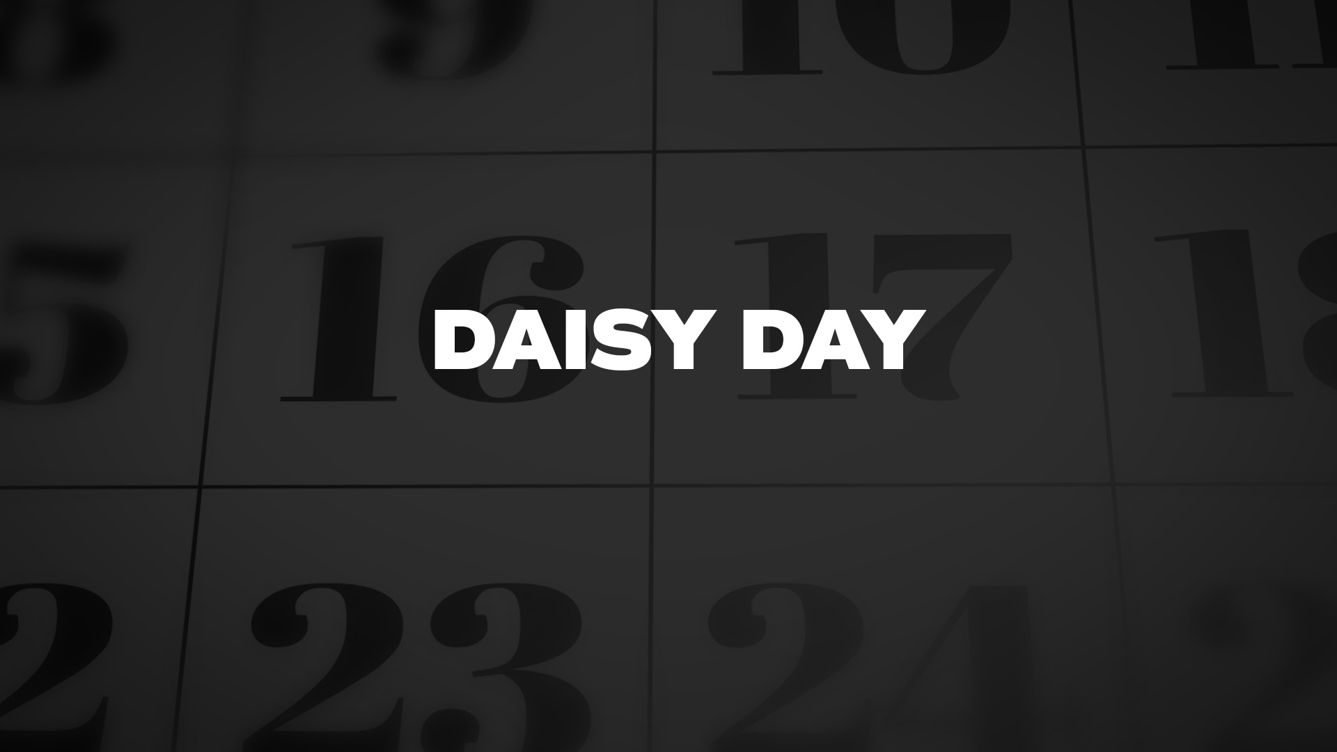 Title image for Daisy Day