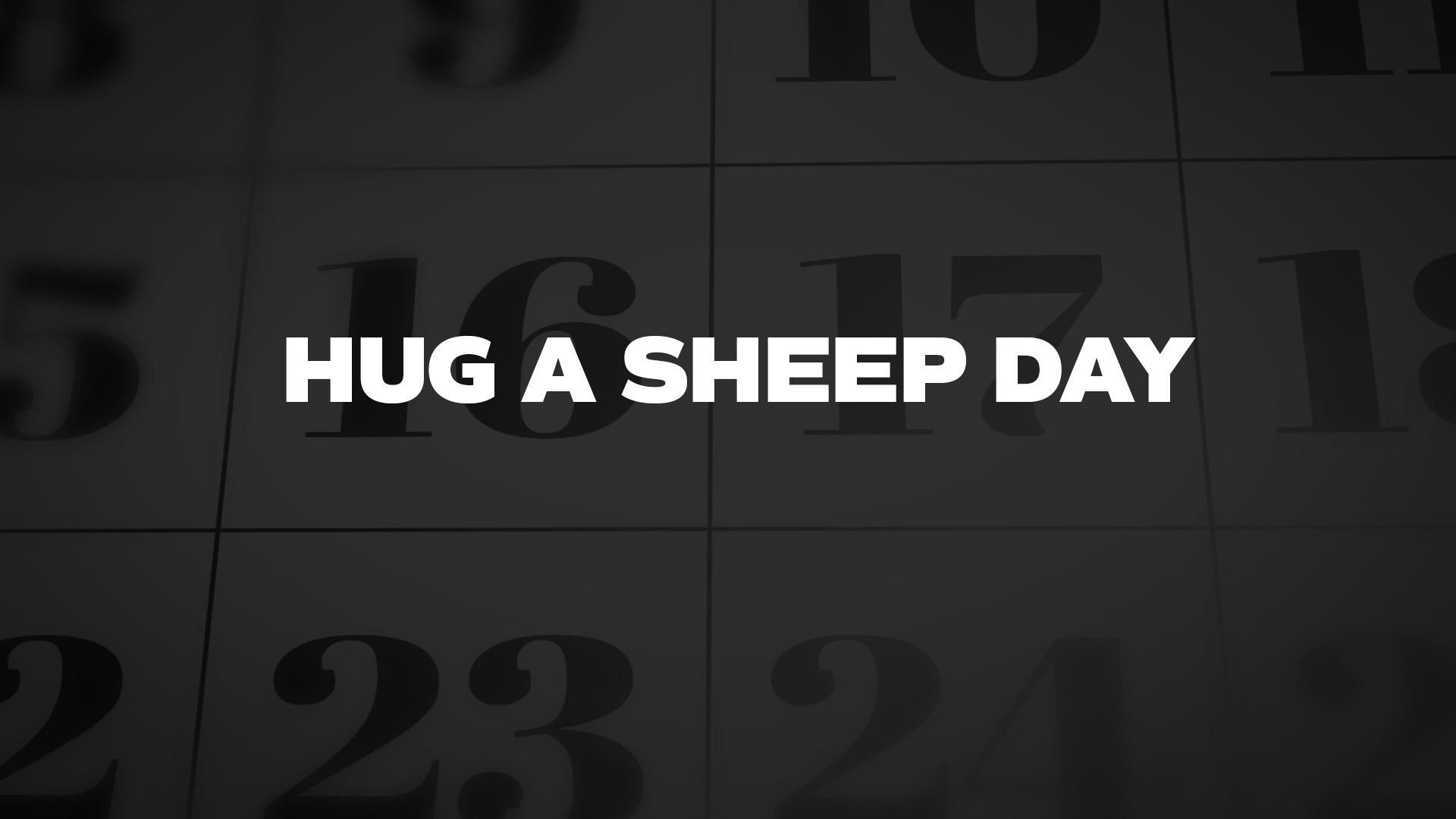 Title image for Hug A Sheep Day