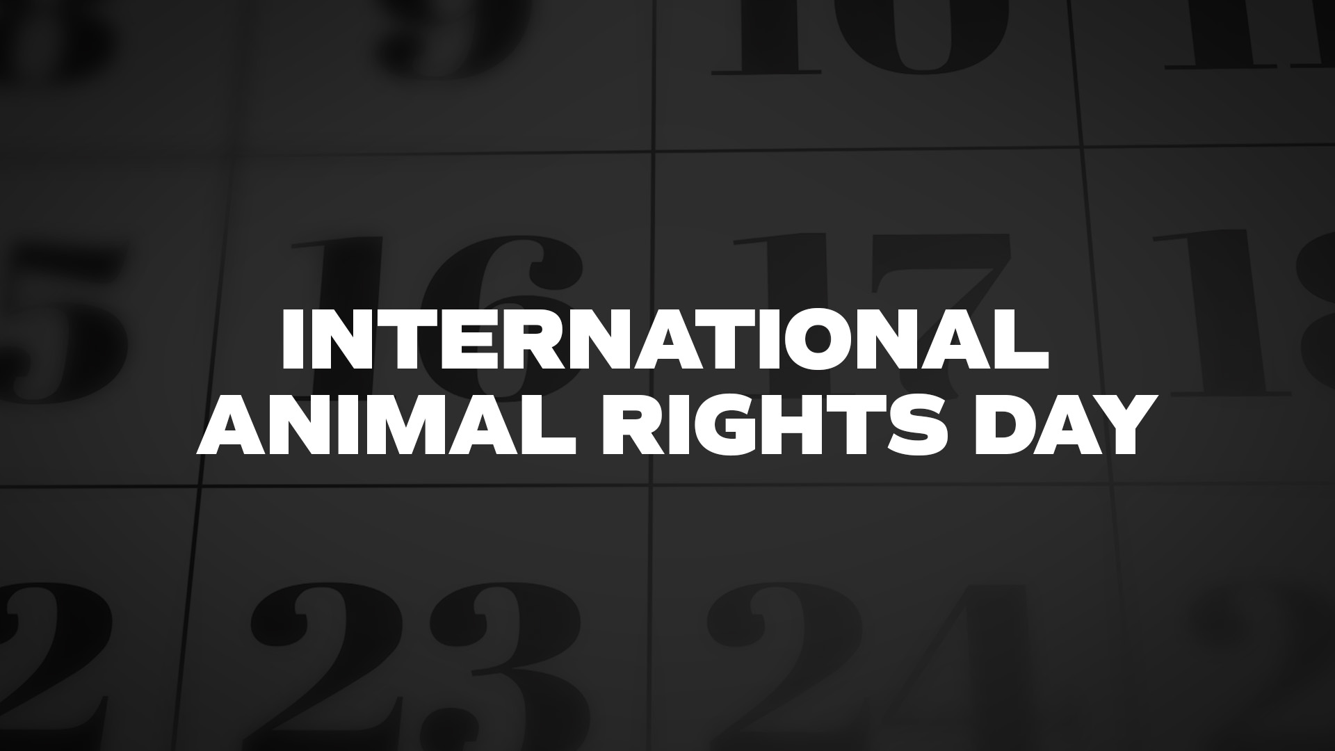 Title image for International Animal Rights Day
