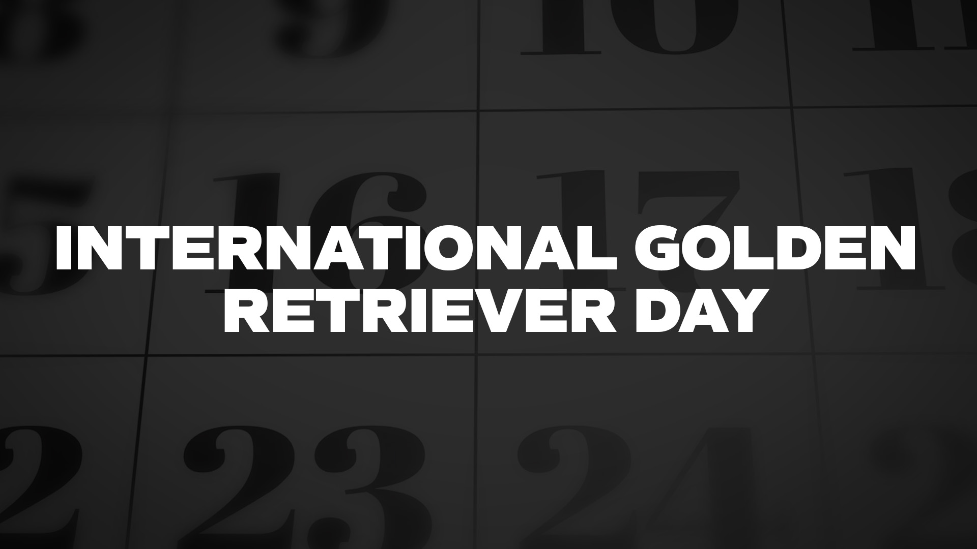 Title image for International Golden Retriever Day