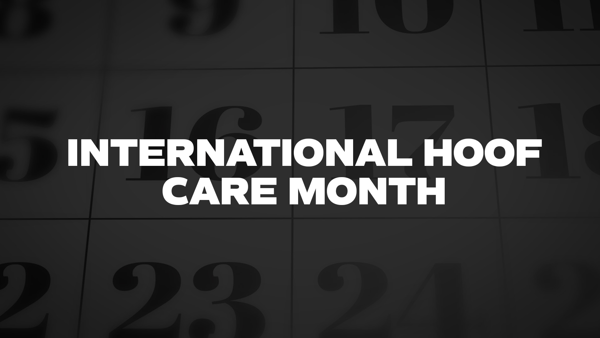 Title image for International Hoof Care Month