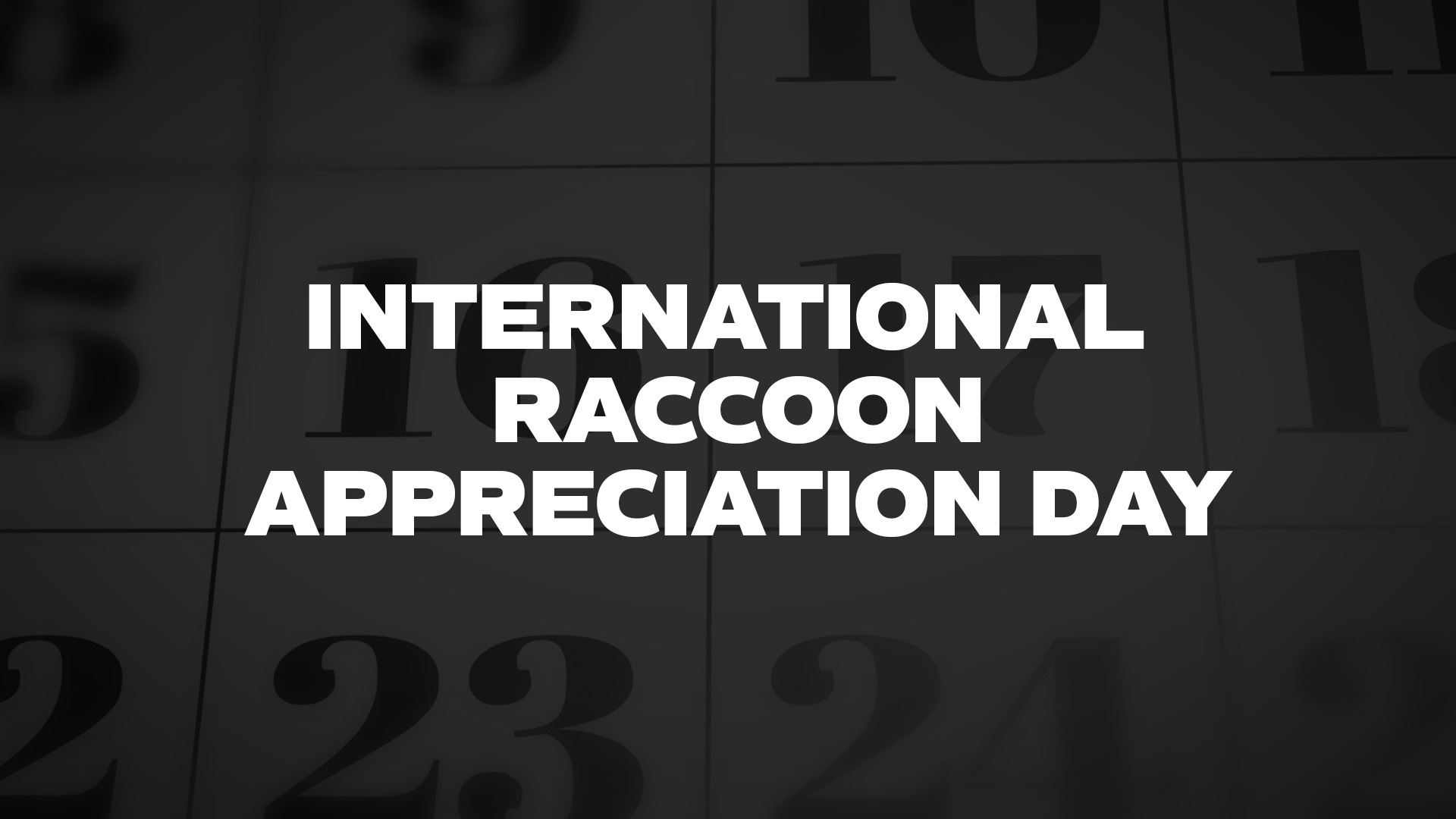 Title image for International Raccoon Appreciation Day
