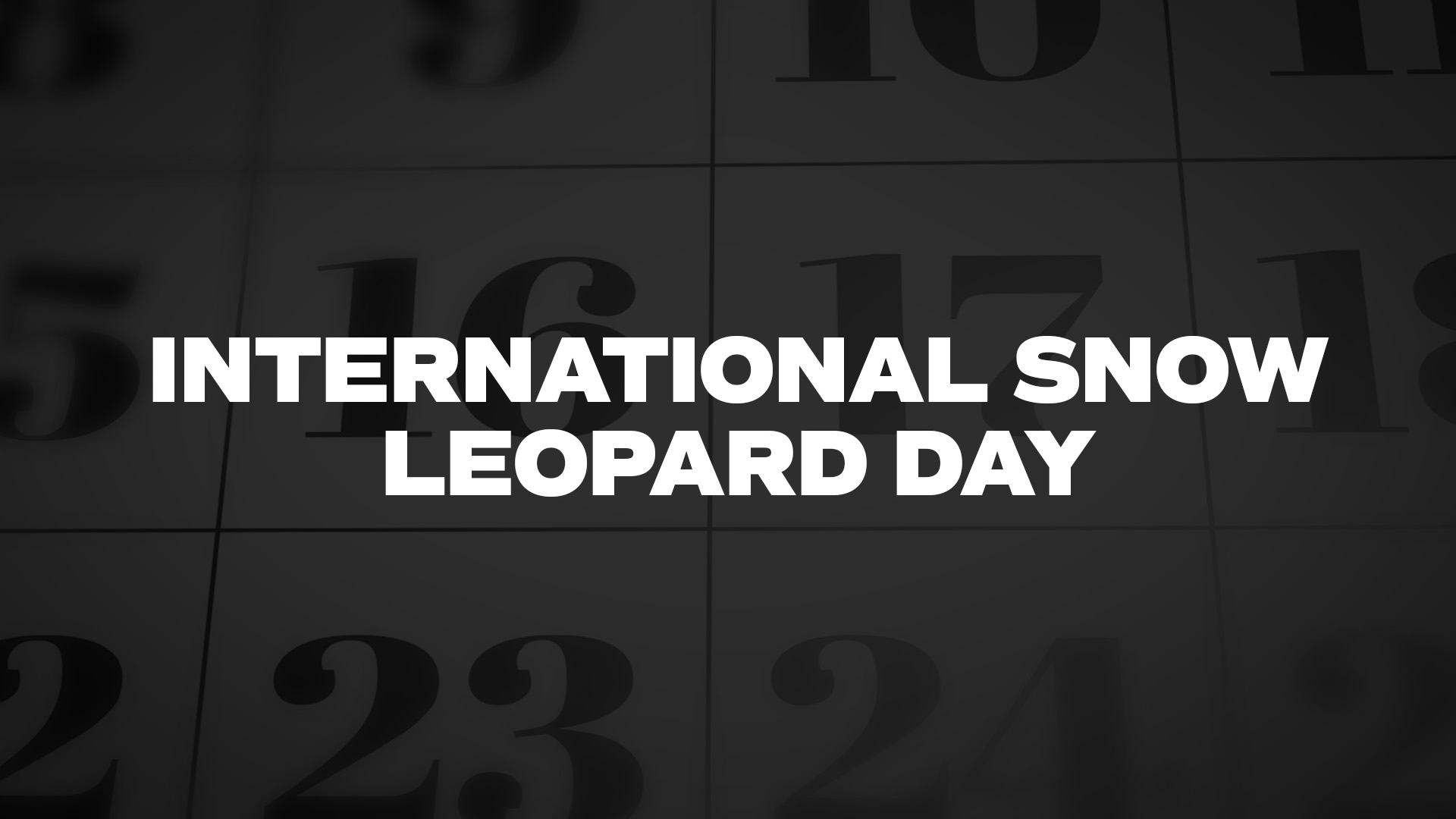 Title image for International Snow Leopard Day