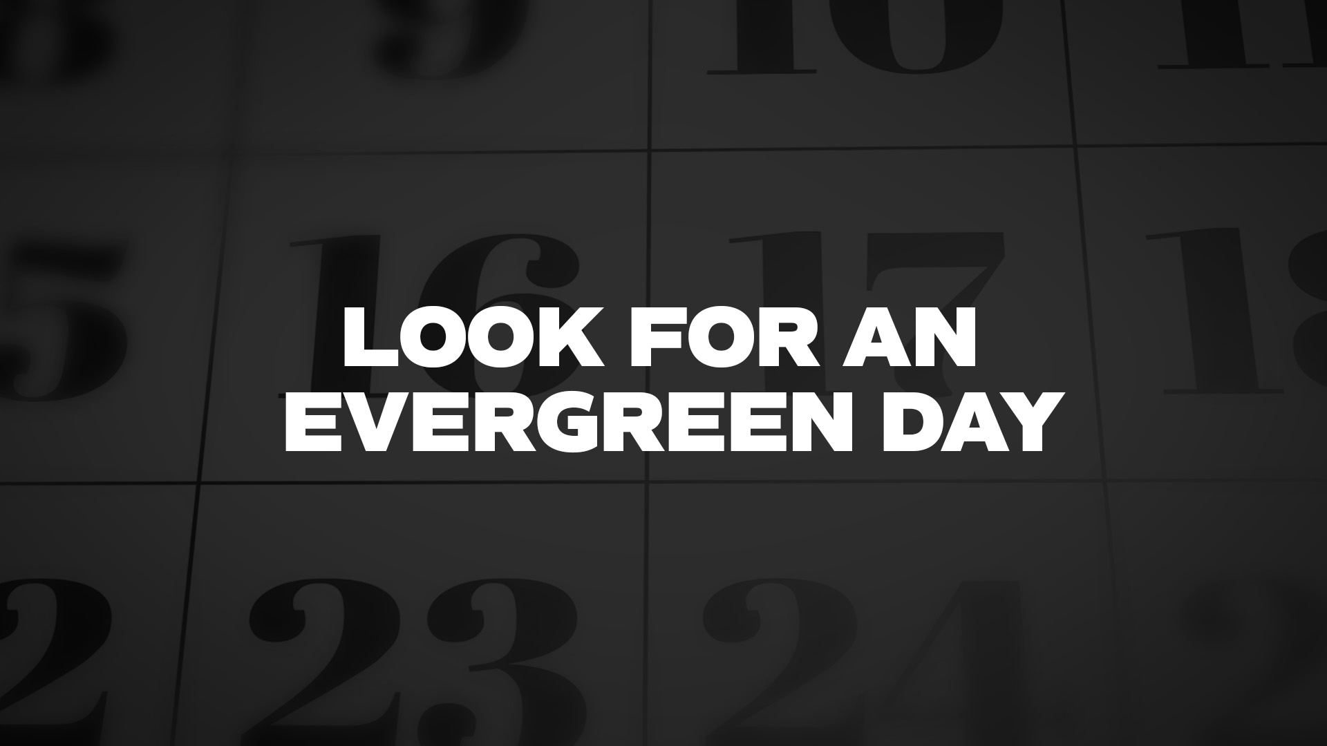 Title image for Look For An Evergreen Day