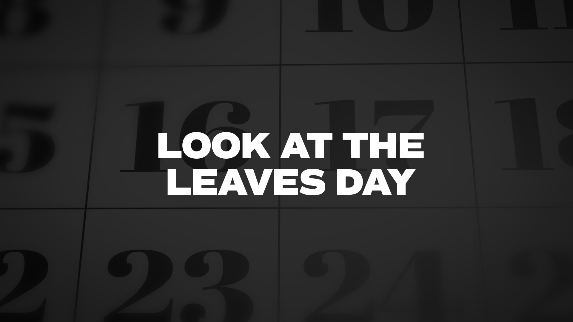 Title image for Look At The Leaves Day