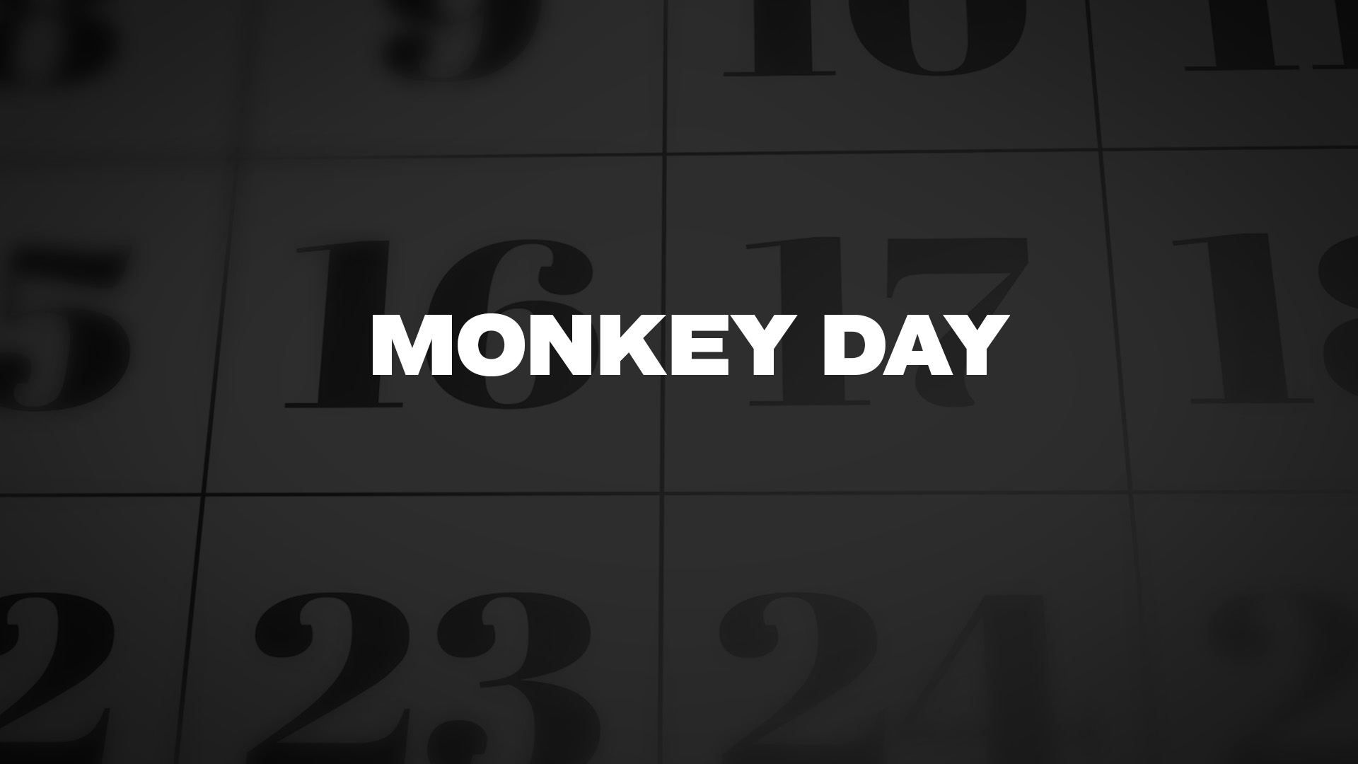 Title image for Monkey Day