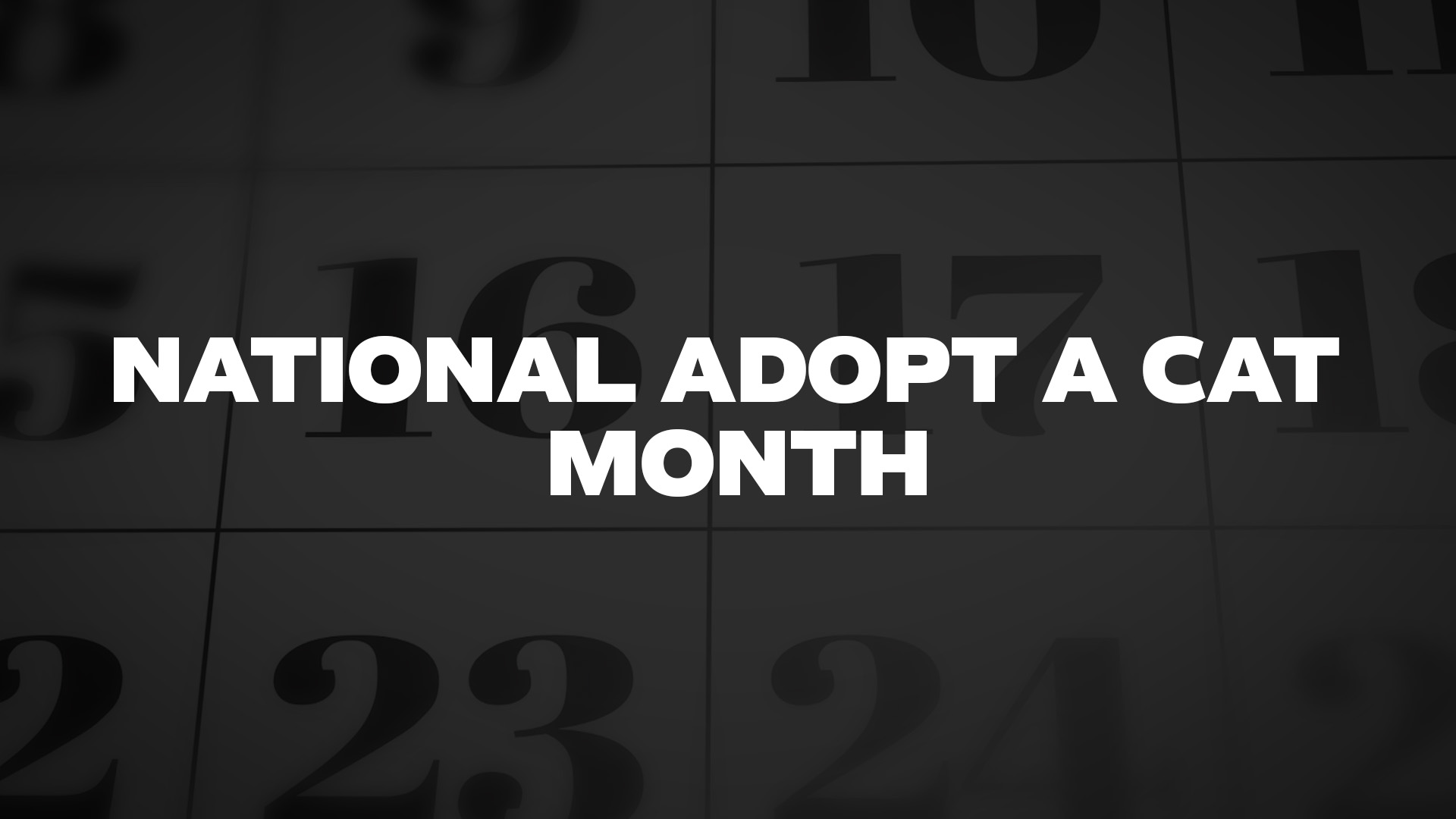 Title image for National Adopt A Cat Month