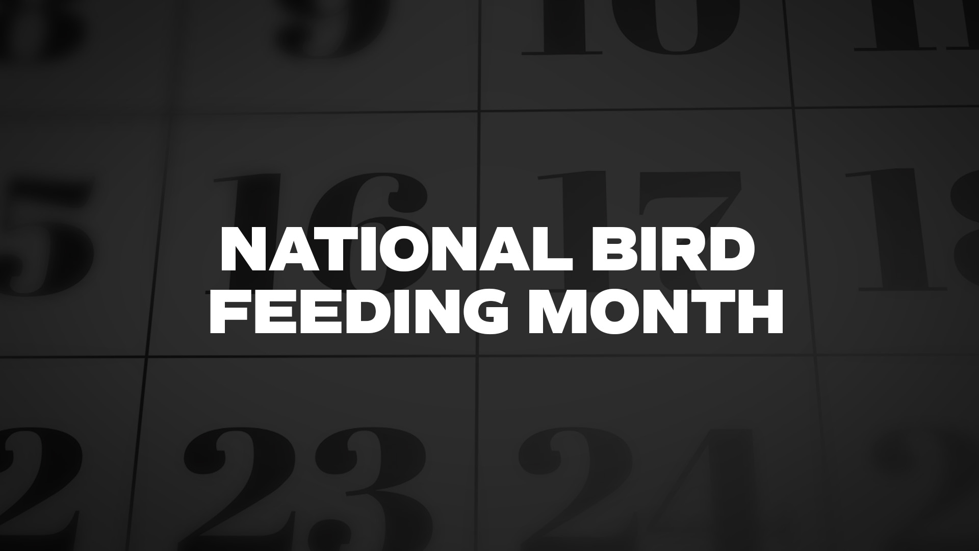 Title image for National Bird Feeding Month